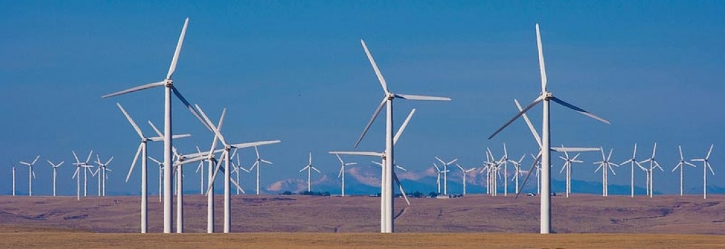 ColoradoWindFarm (horizontal)