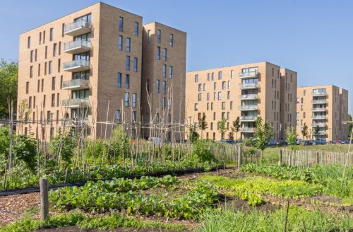 Urban garden beside an apartment complex in a city center.