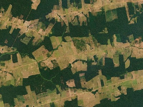 Forest and Fields, Rondônia, Brazil, July 18, 2016