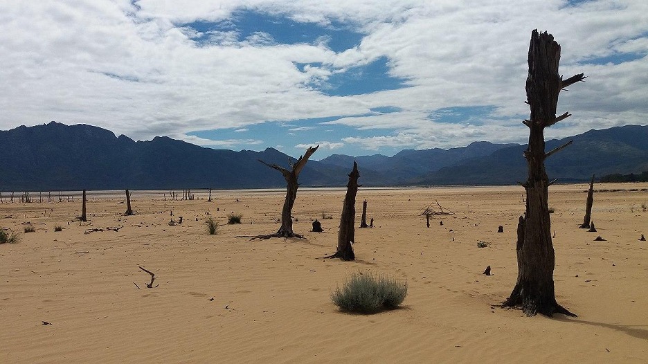 The close-to-empty Theewaterskloof Dam, outside of Cape Town, South Africa, in March 2018, showing tree stumps and sand usually submerged by the water of the dam. For several decades, the dam provided over half the water supply for the four million inhabitants of Cape Town. Photo: Theewaterskloof sandscape 2018-03-11 by Zaian, licensed under CC BY-SA 4.0.