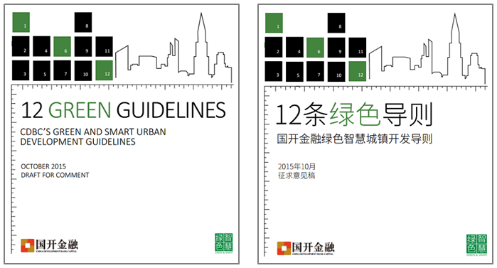 12Guidelines_EN_CN