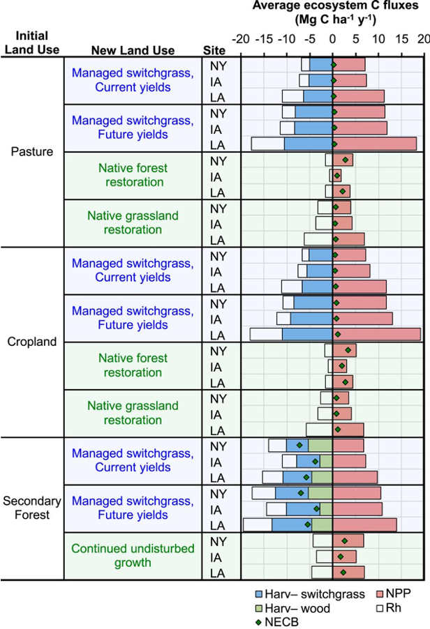 Modeled ecosystem carbon fluxes for different land use scenarios